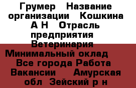 Грумер › Название организации ­ Кошкина А.Н › Отрасль предприятия ­ Ветеринария › Минимальный оклад ­ 1 - Все города Работа » Вакансии   . Амурская обл.,Зейский р-н